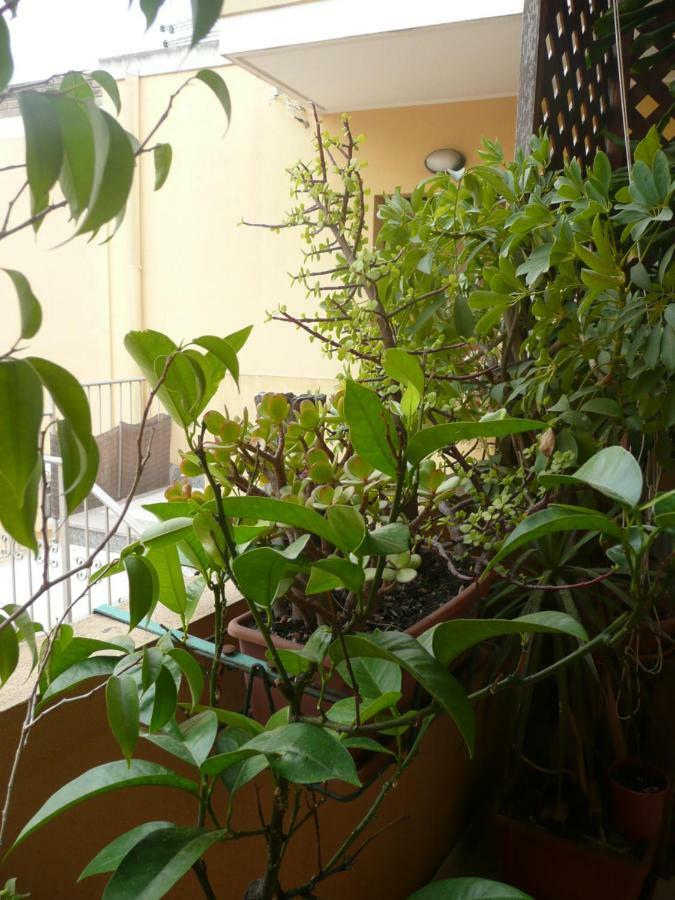 B&B La Casetta Куарту-Сант'Элена Экстерьер фото
